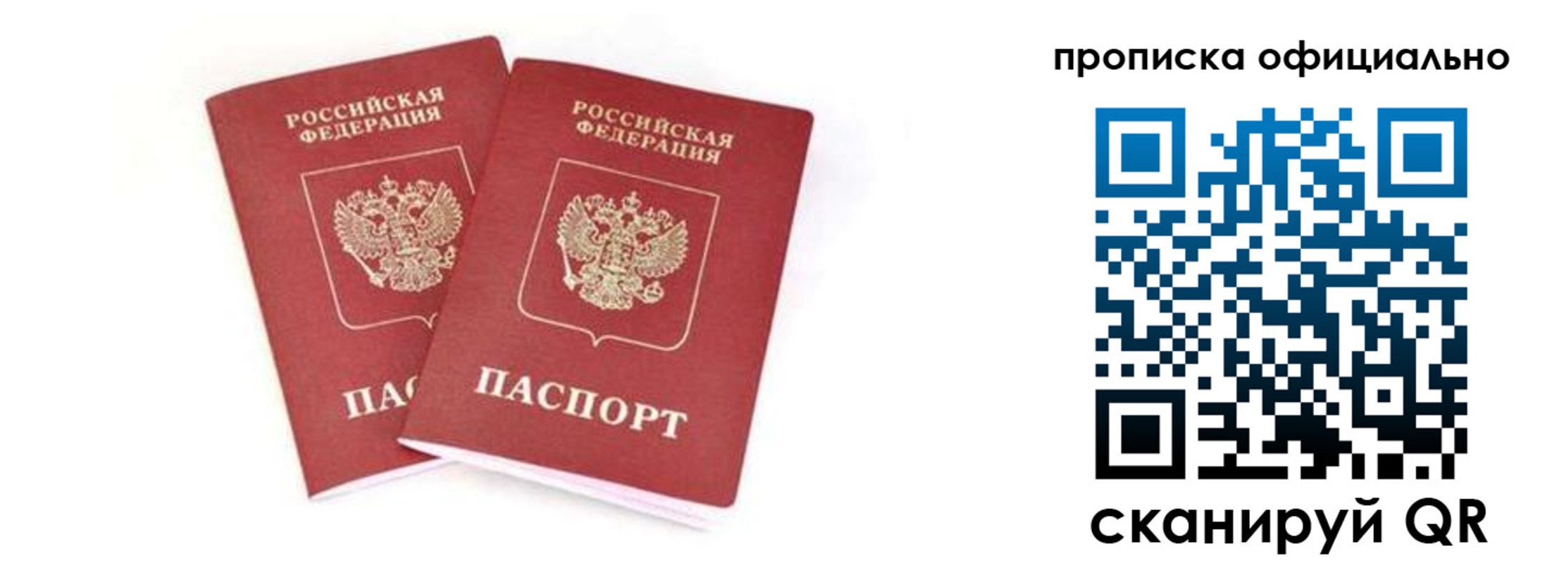где прописаться в Ленинградской области